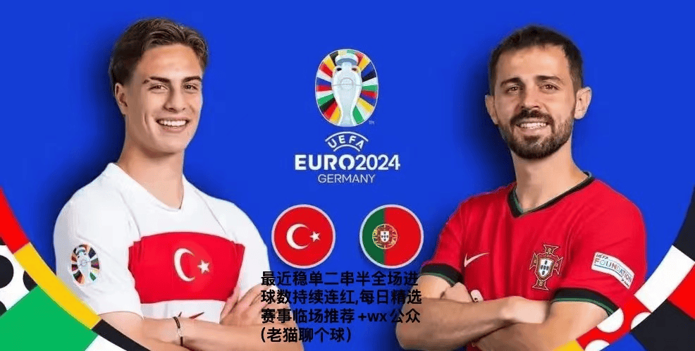 土耳其VS葡萄牙_土耳其VS葡萄牙